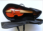 Charlies viol in case